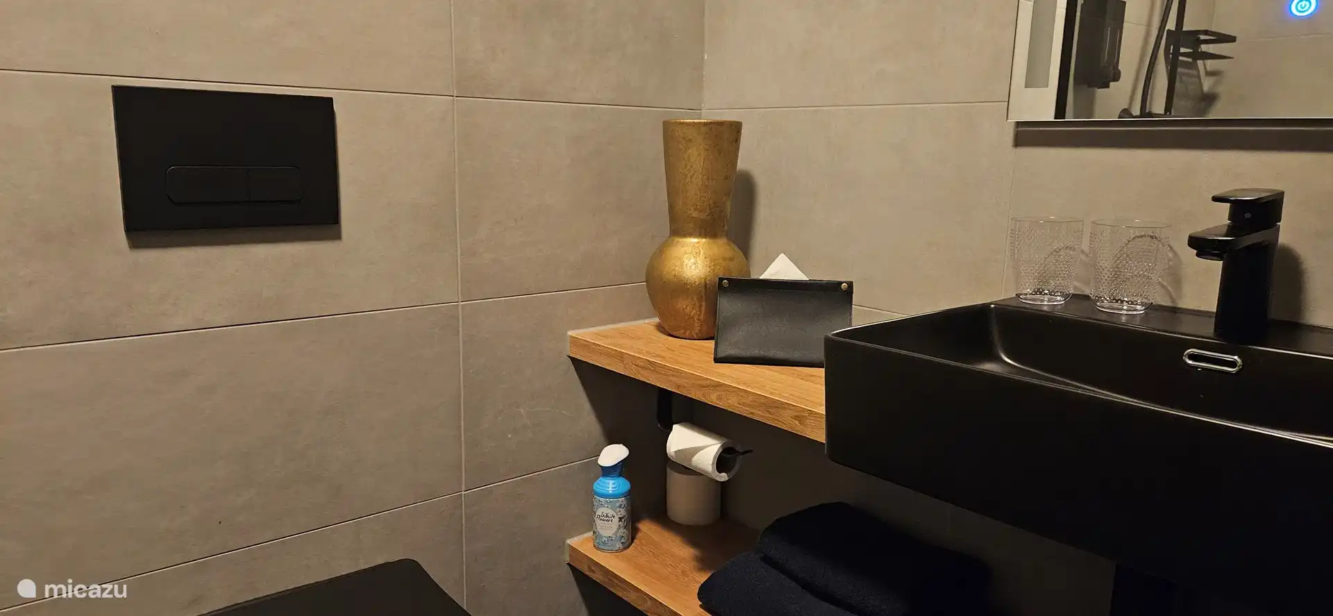 Badezimmer mit Dusche, WC und Waschbecken.
Shampoo und Seife sowie ein Haartrockner stehen zur Verfügung. 