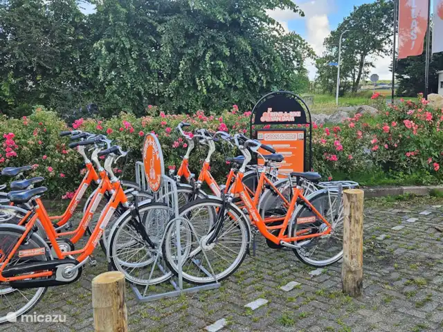 Casa Viva La Vida en Países Bajos, Holanda Meridional, Noordwijkerhout - casa vacacional Alquiler de bicicletas disponible