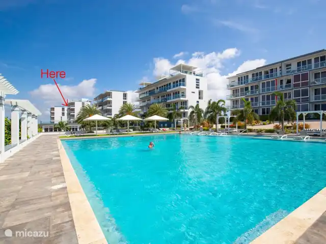 Location de Vacances Curaçao, Curaçao-Centre, Willemstad, appartement - Magna Vista : climatisation complète, piscine, salle de sport Voici notre appartement