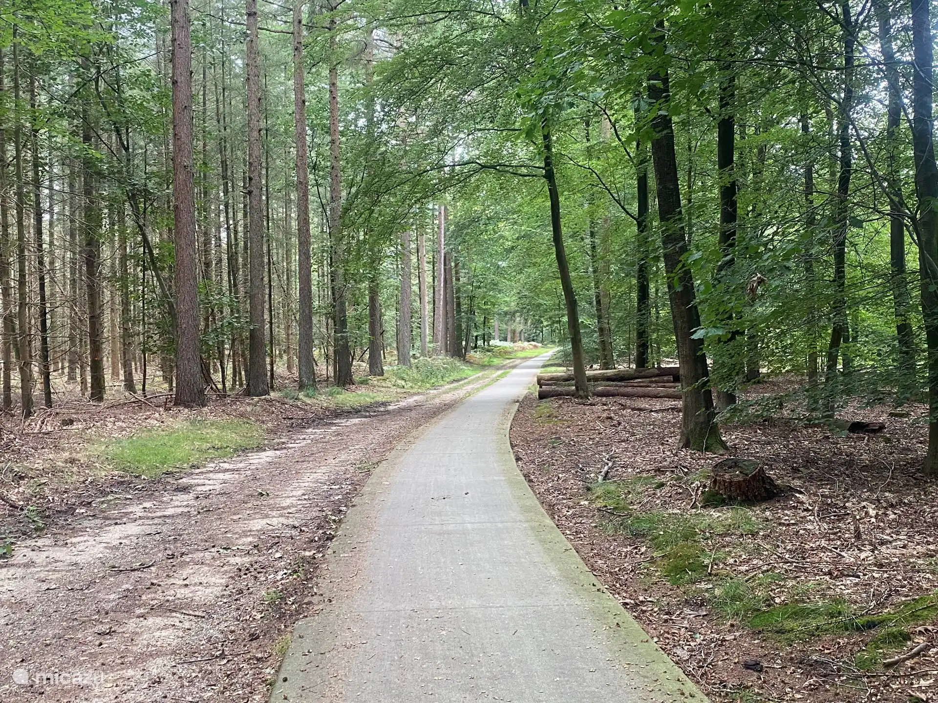 Disfrute del ciclismo, caminatas o el aseo en el bosque.
