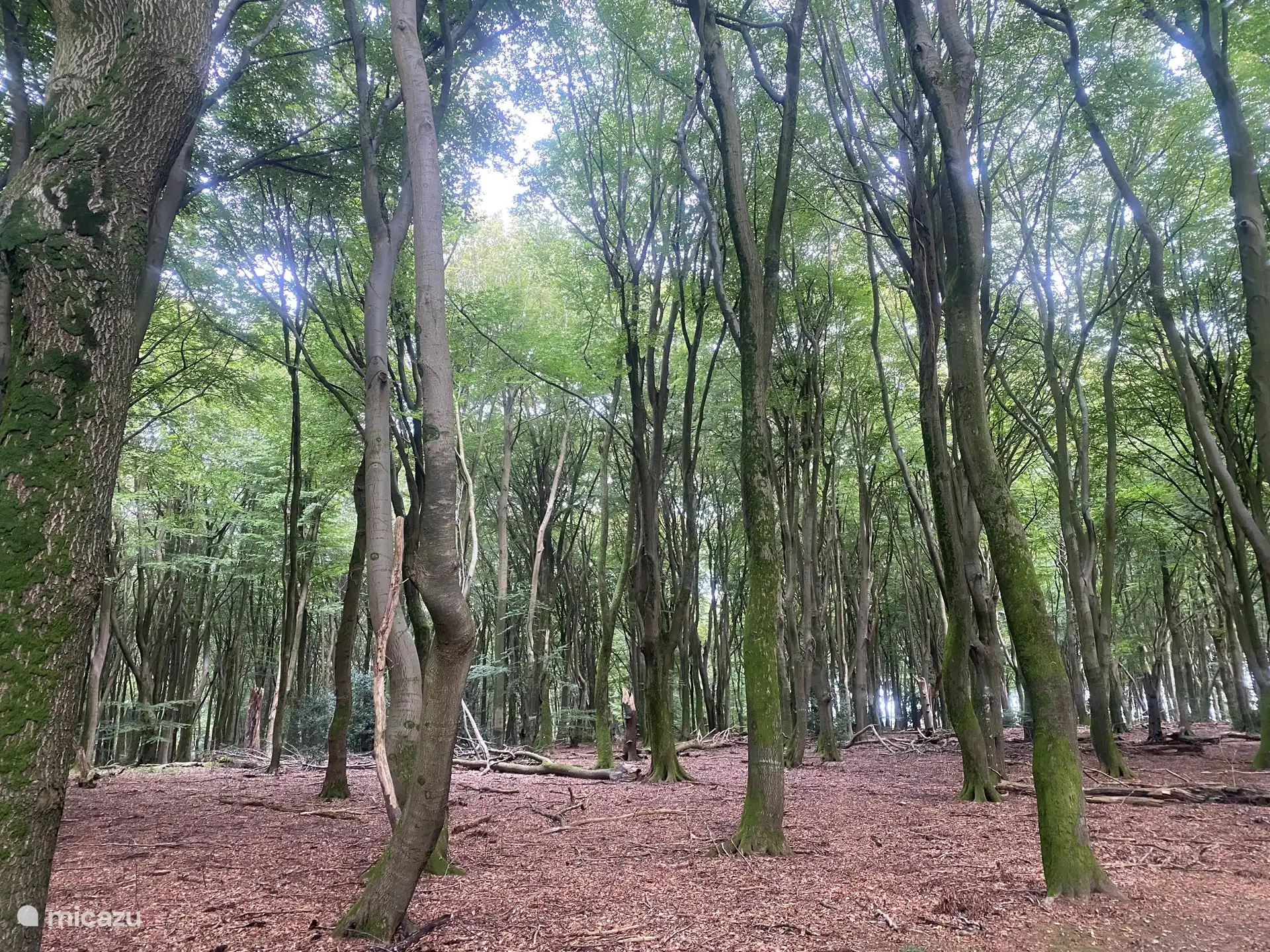 Un hermoso día de otoño.