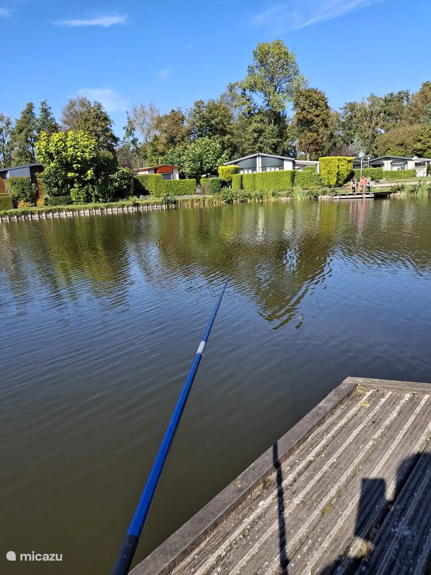 ¿Quién se atreve a lanzar una caña de pescar y atrapar algo?