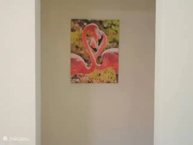Villa Just Relex  | Curaçao, Banda Ariba (est), Brakkeput Abou - villa Flamants roses