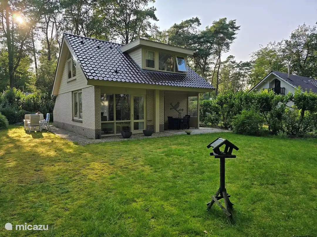 Forest Bird Holten in Netherlands, Overijssel, Holten - holiday house