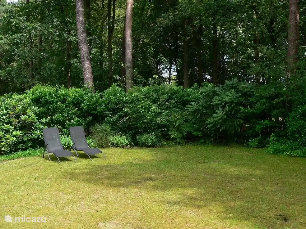 Lazing in the garden