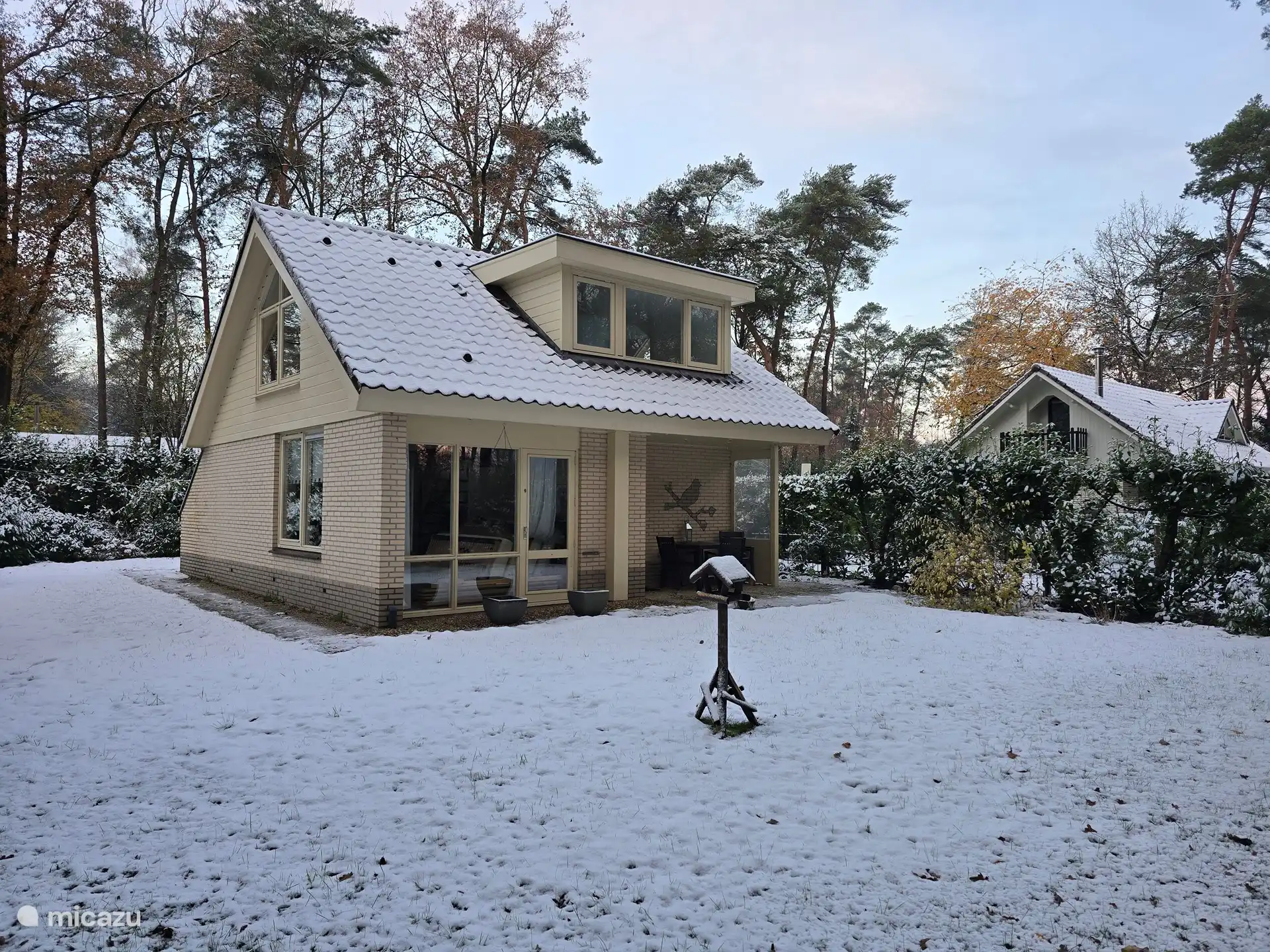 Forest bird in winter