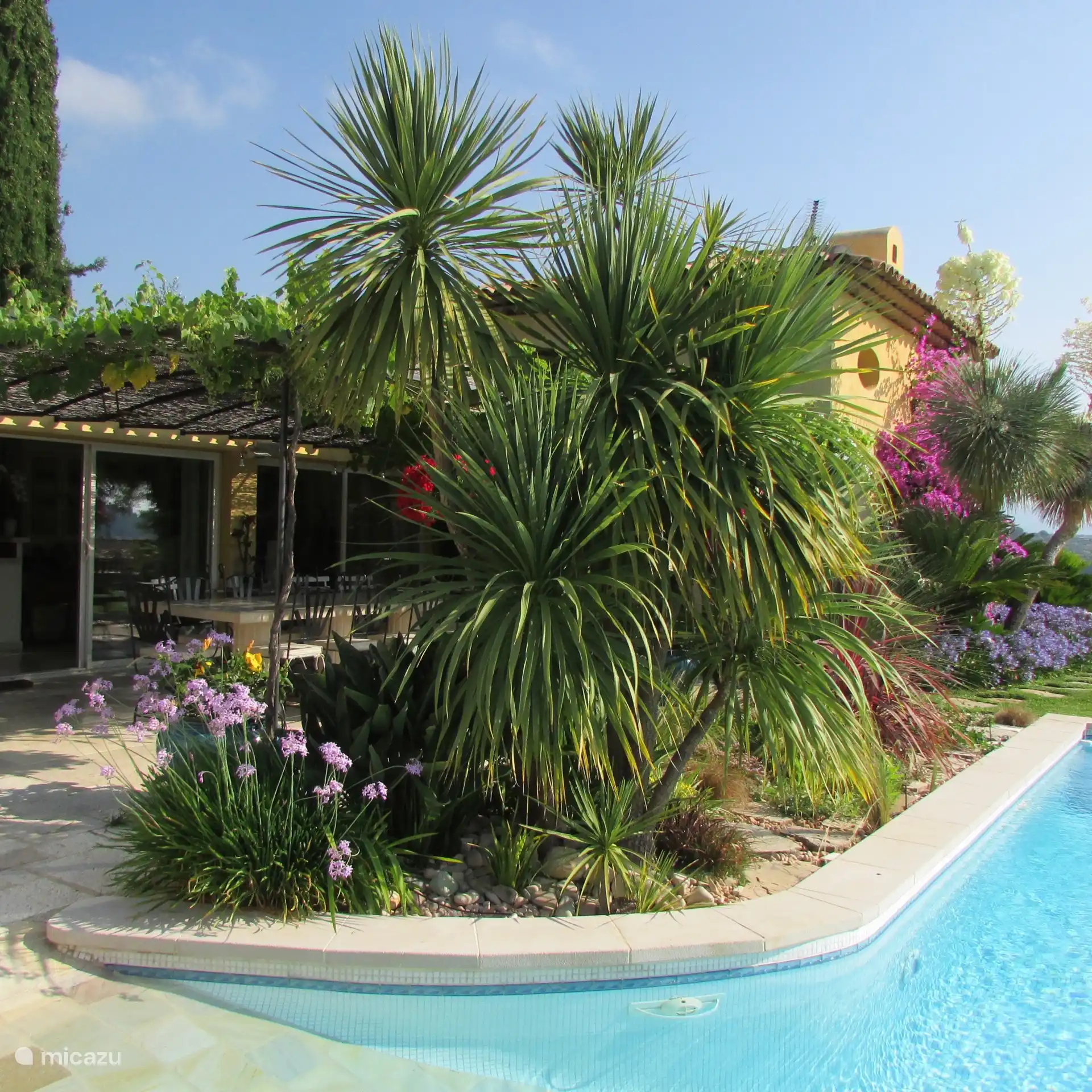 Terrasse und Swimmingpool