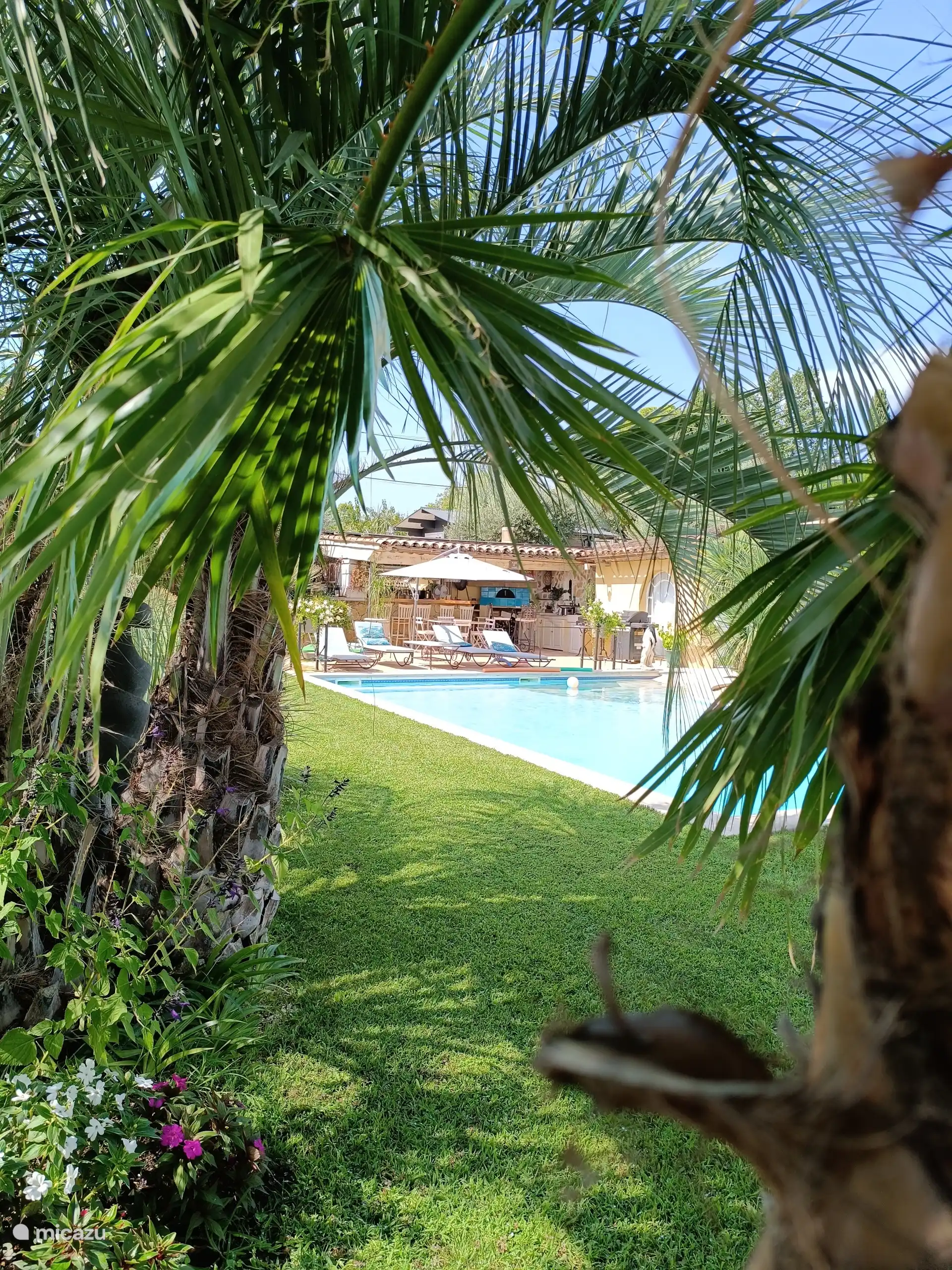 Garten- und Poolbereich