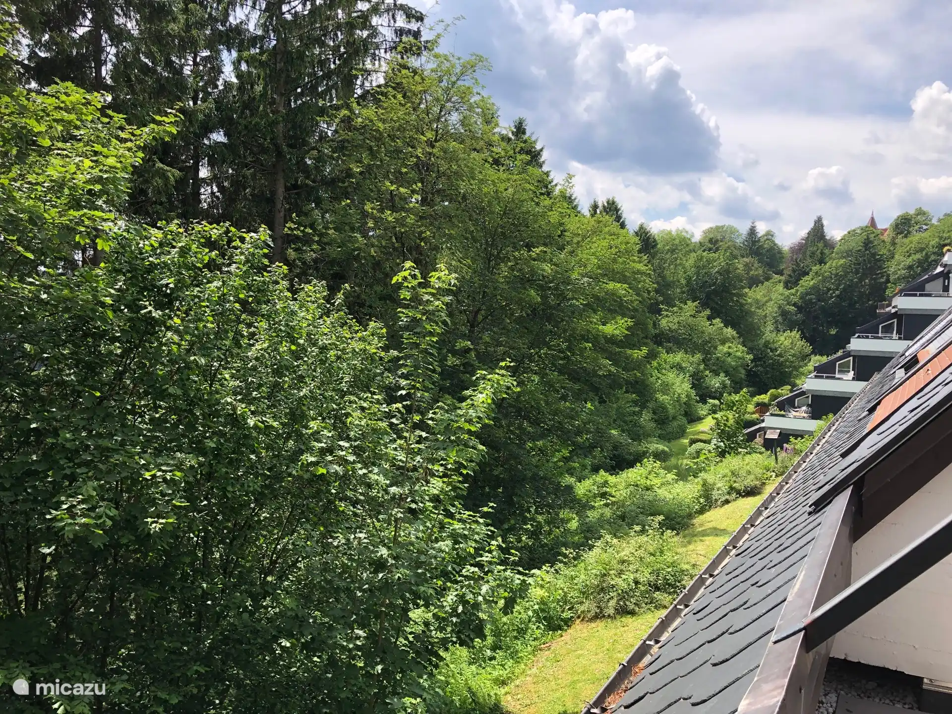 Vue depuis le balcon