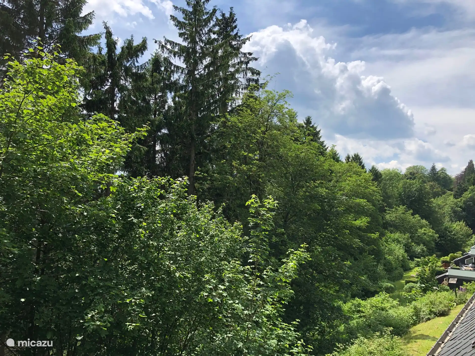 Vue depuis le balcon