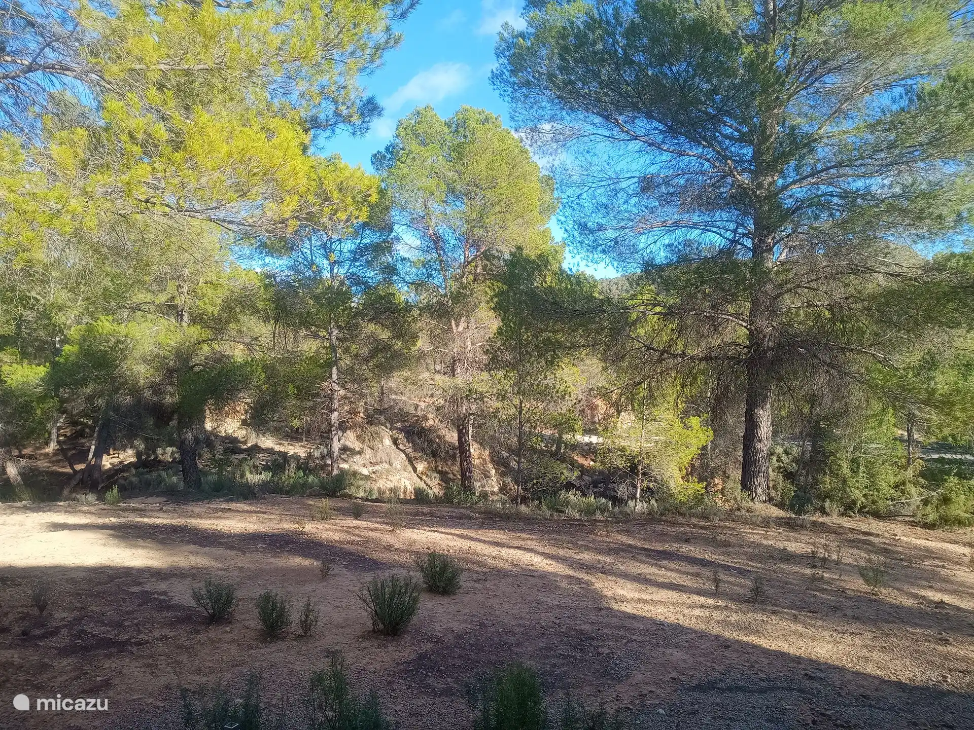 Blick von der Terrasse.