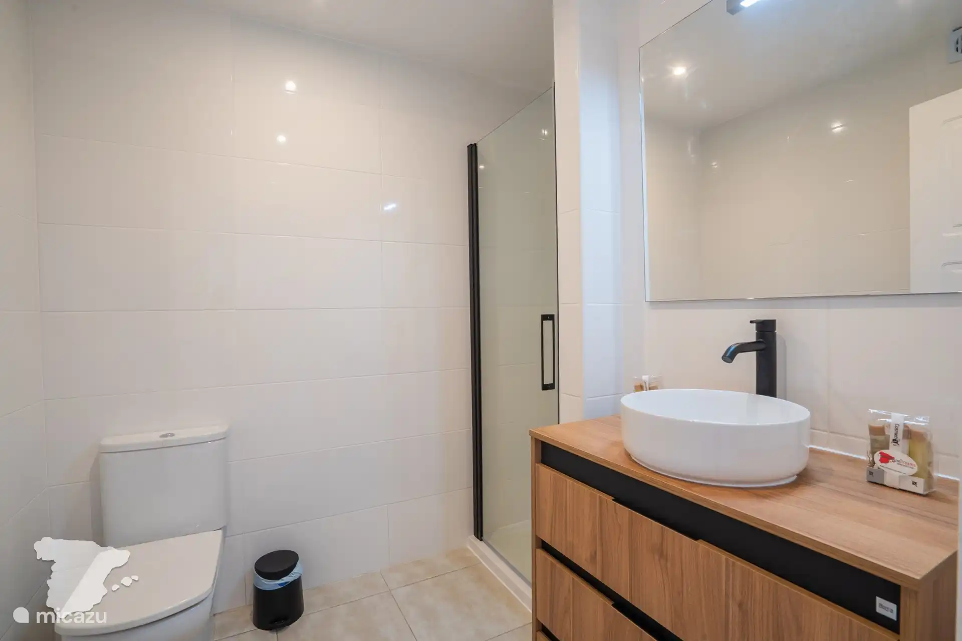 Salle de bain avec douche, lavabo et WC