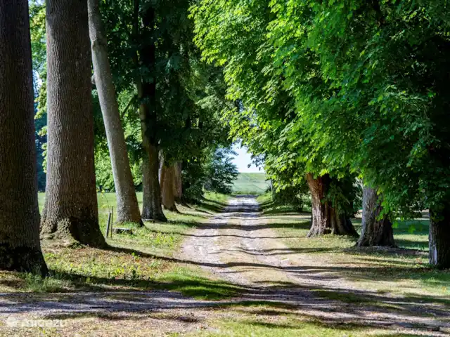 Location de Vacances Pologne, Voïvodie de Lublin, Zamosc, maison de vacances - Domek - Zamosc Palac Udrycze