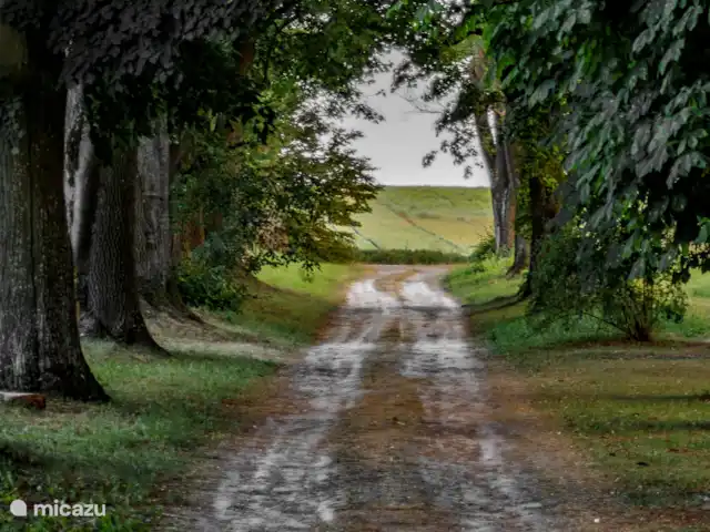 Location de Vacances Pologne, Voïvodie de Lublin, Zamosc, maison de vacances - Domek - Zamosc Palac Udrycze