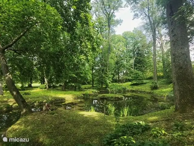 Location de Vacances Pologne, Voïvodie de Lublin, Zamosc, maison de vacances - Domek - Zamosc Palac Udrycze