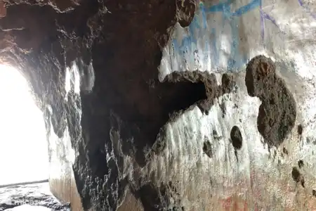 Attractions à proximité