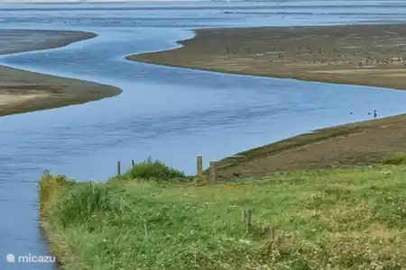 près de la mer des Wadden