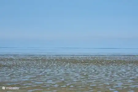 près de la mer des Wadden