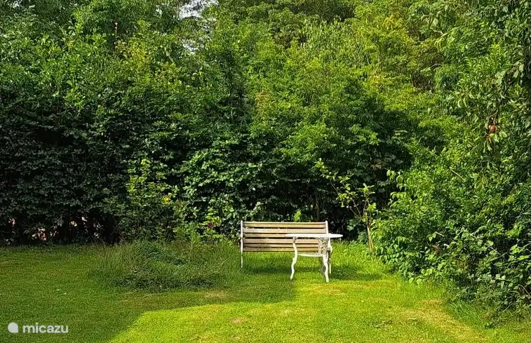 Der sonnige Garten ringsum