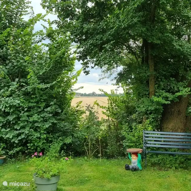 Blick vom Garten aus