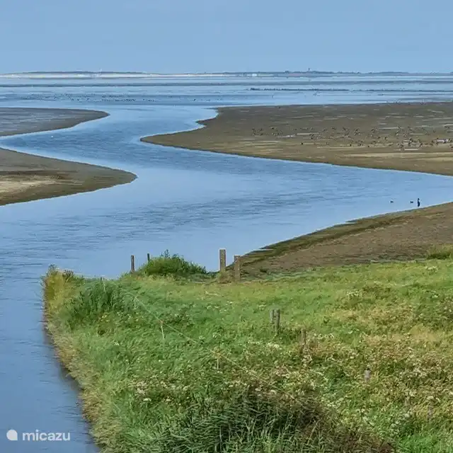 Wattensee in 7 Minuten zu Fuß