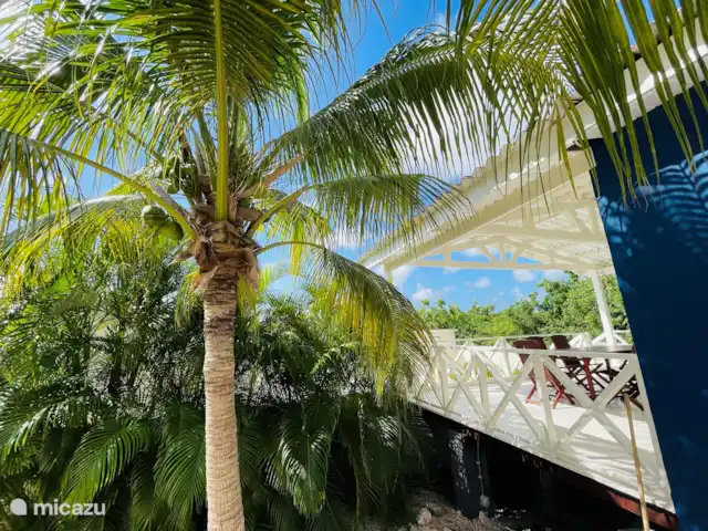 vakantiehuis huren in Curaçao, Banda Ariba (oost), Cas Grandi – Mini resort Kaya Verdi - Blenchi 4p Tropische tuin