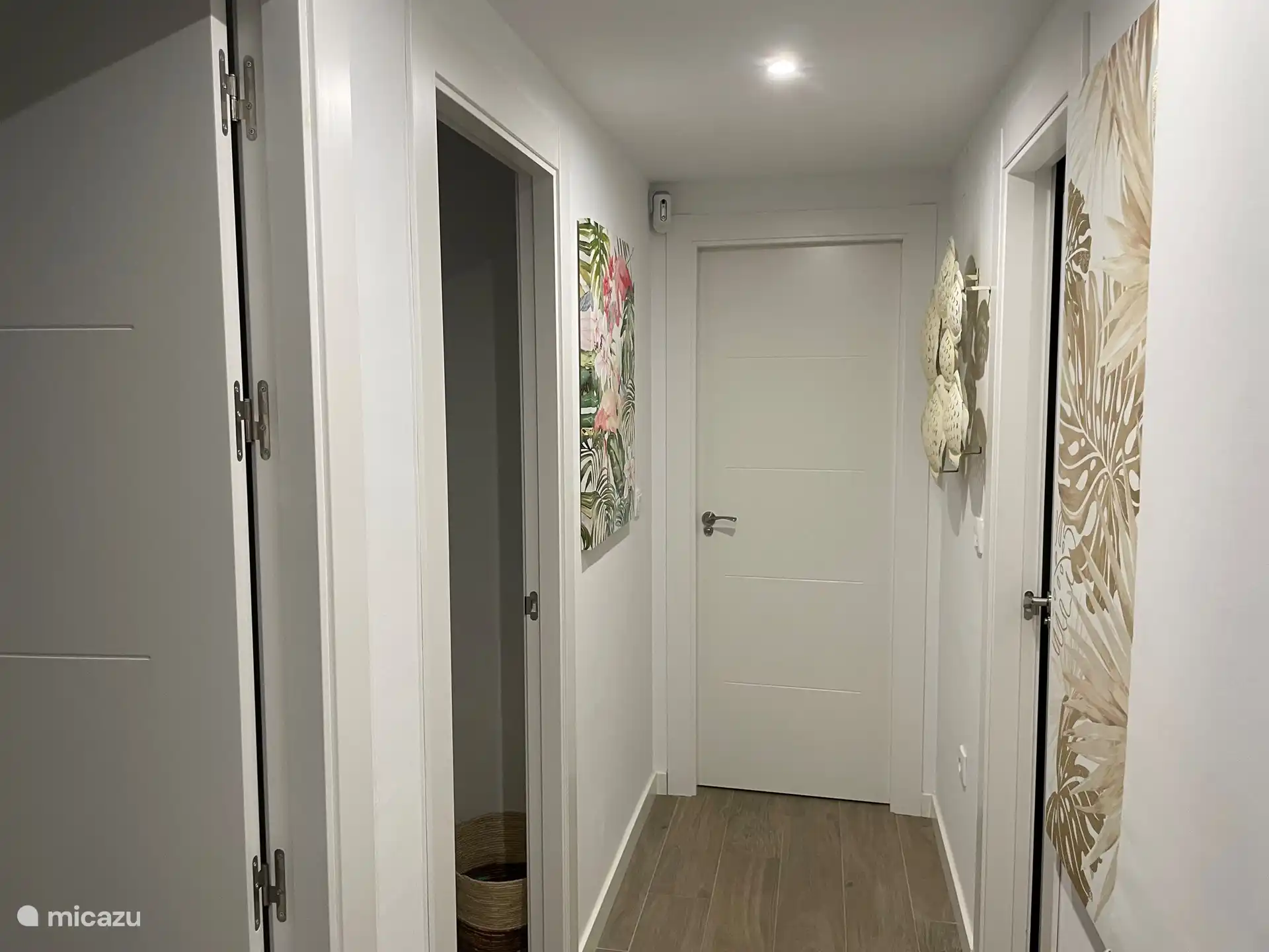 Hallway to the bedrooms and bathrooms