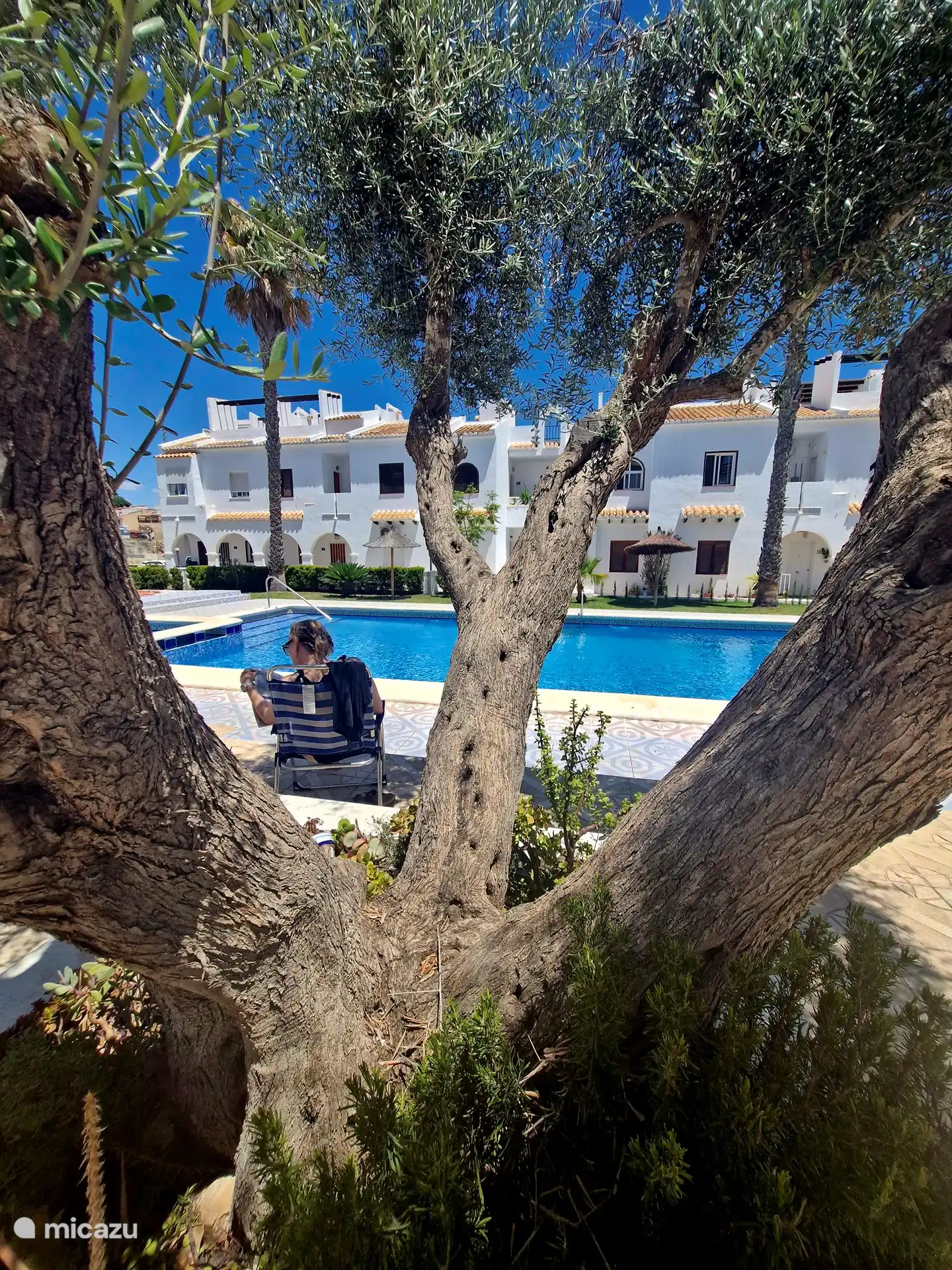 Gemeinschaftlicher Swimmingpool