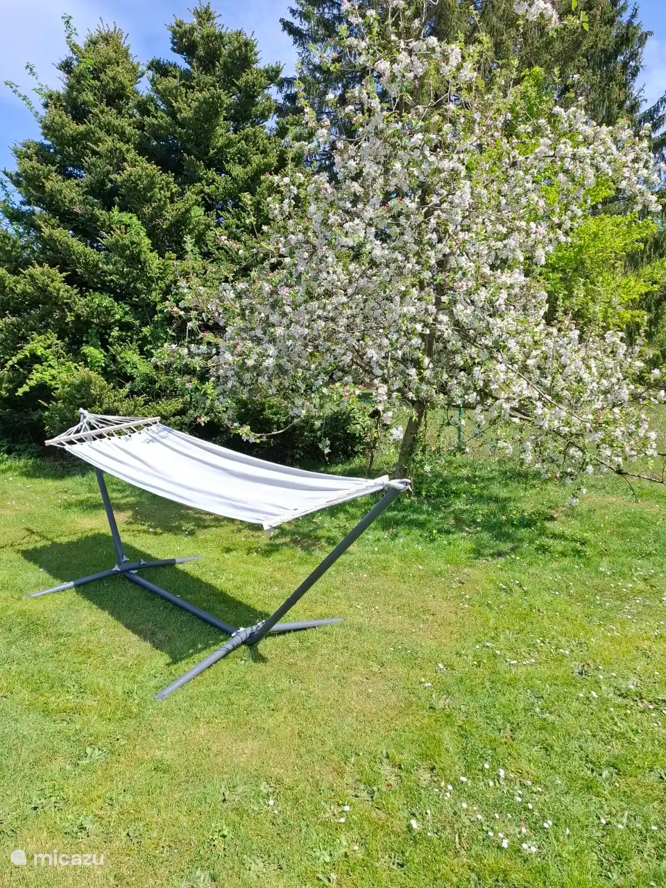 Entspannen Sie sich in der Hängematte unter dem Apoel-Baum