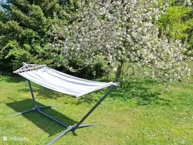 Hochwald-Balkon huren in Duitsland, Nedersaksen, Bad Sachsa - appartement Heerlijk relaxen in de hangmat onder de apoelboom