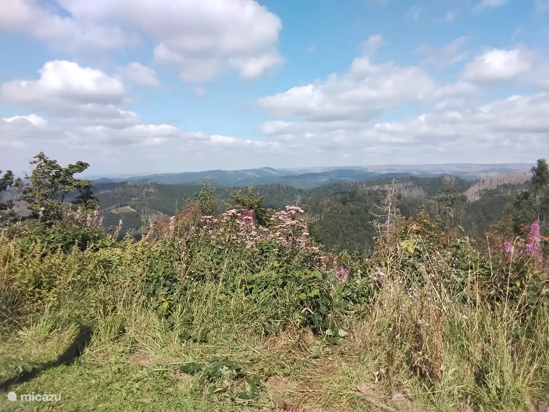 Blick vom Ravensberg