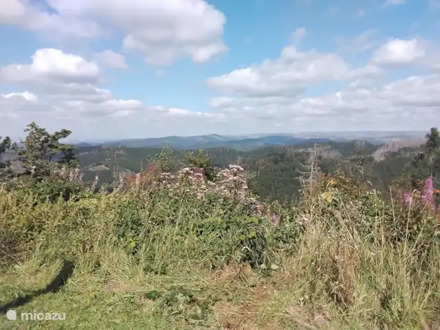 Hochwald-Balkon huren in Duitsland, Nedersaksen, Bad Sachsa - appartement uitzicht vanaf de Ravensberg