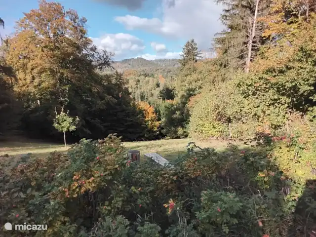 Hochwald-Balkon huren in Duitsland, Nedersaksen, Bad Sachsa - appartement uitzicht tijdens wandeling rondom Bad Sachsa