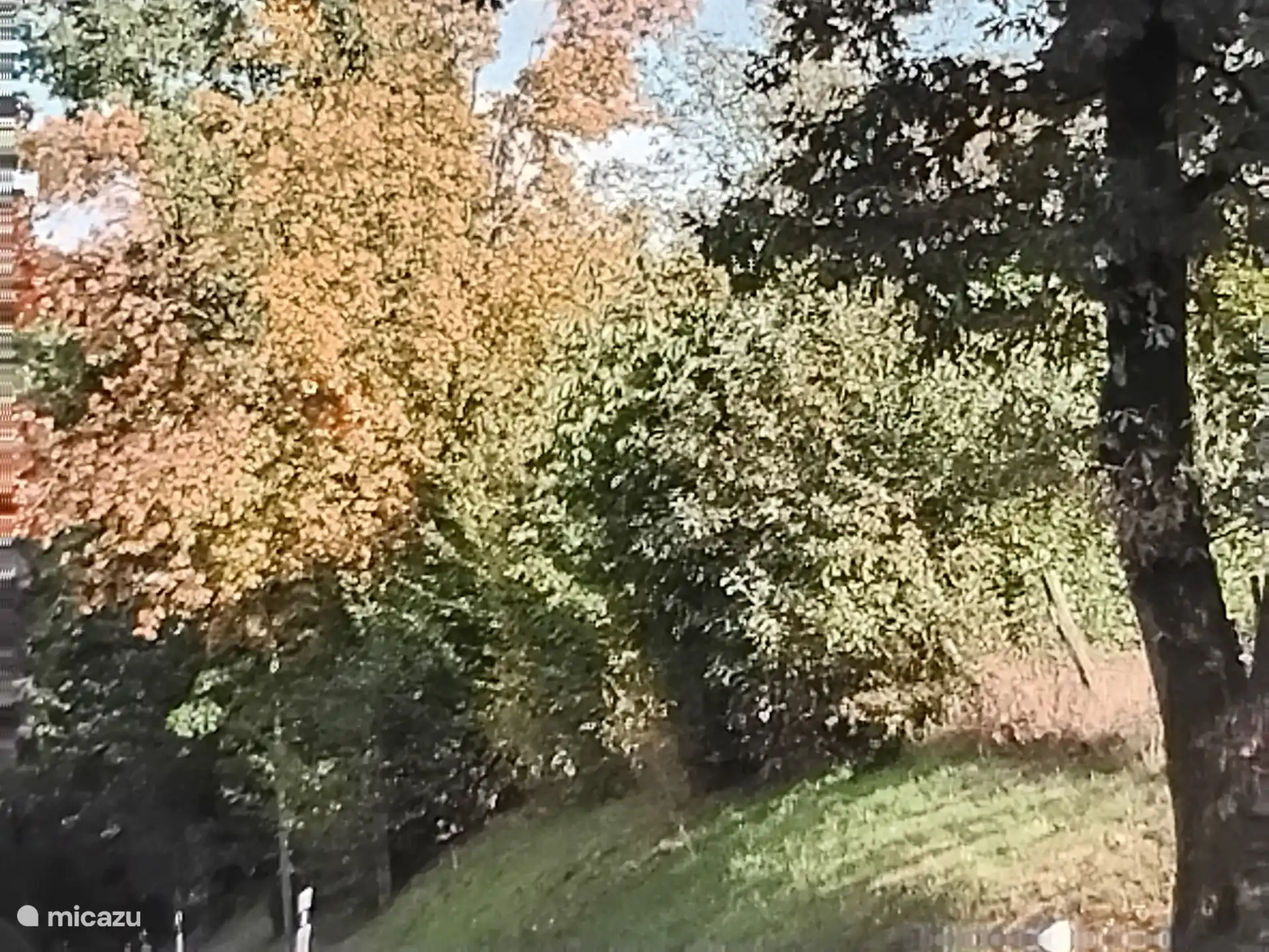 Wald ist an der Straßenecke zu erreichen, man kann viele schöne Spaziergänge von der Unterkunft an der Straßenecke starten