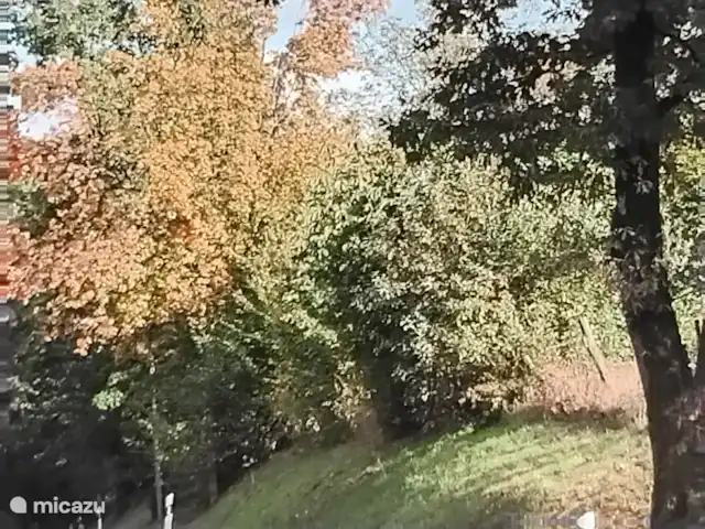 Hochwald-Balkon huren in Duitsland, Nedersaksen, Bad Sachsa - appartement Bos te bereiken op de hoek van de straat, je kunt vanaf de acomodatie vele mooie wandelingen starten op de hoek van de straat