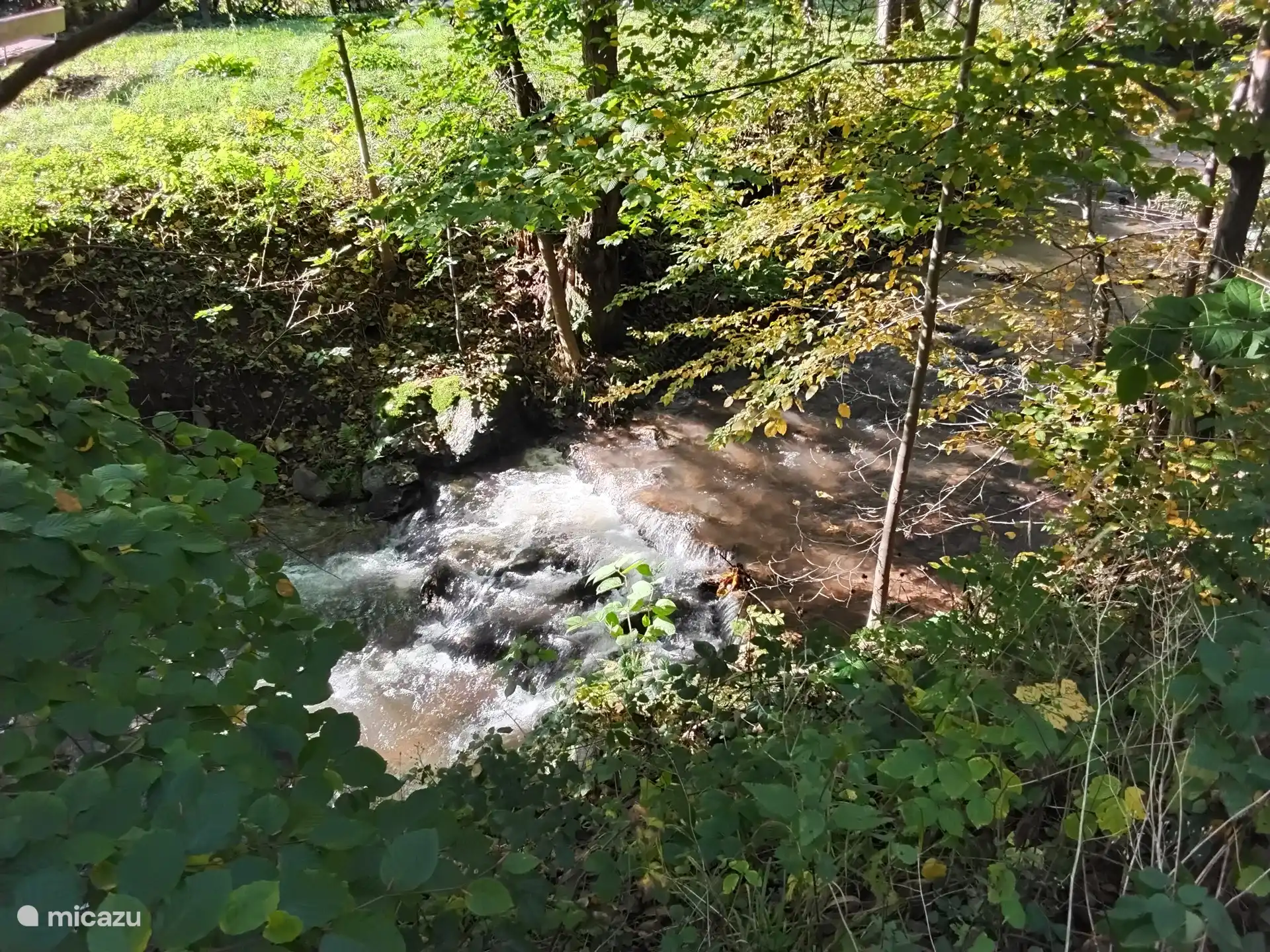 Bach bei Steina, erreichbar über den Wald an der Straßenecke