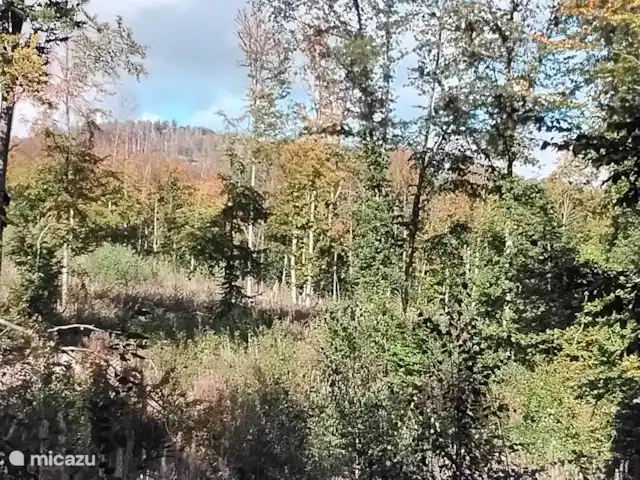 Hochwald-Balkon huren in Duitsland, Nedersaksen, Bad Sachsa - appartement uitzicht over hellingen om de hoek