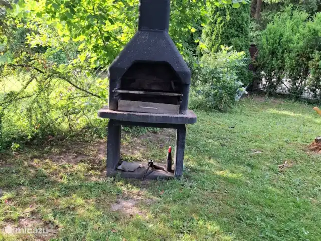 Hochwald-Chalet huren in Duitsland, Nedersaksen, Bad Sachsa - chalet Bbq in de tuin van chalet