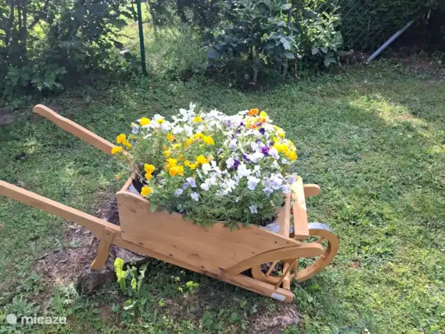 Hochwald-Chalet huren in Duitsland, Nedersaksen, Bad Sachsa - chalet Decoratie