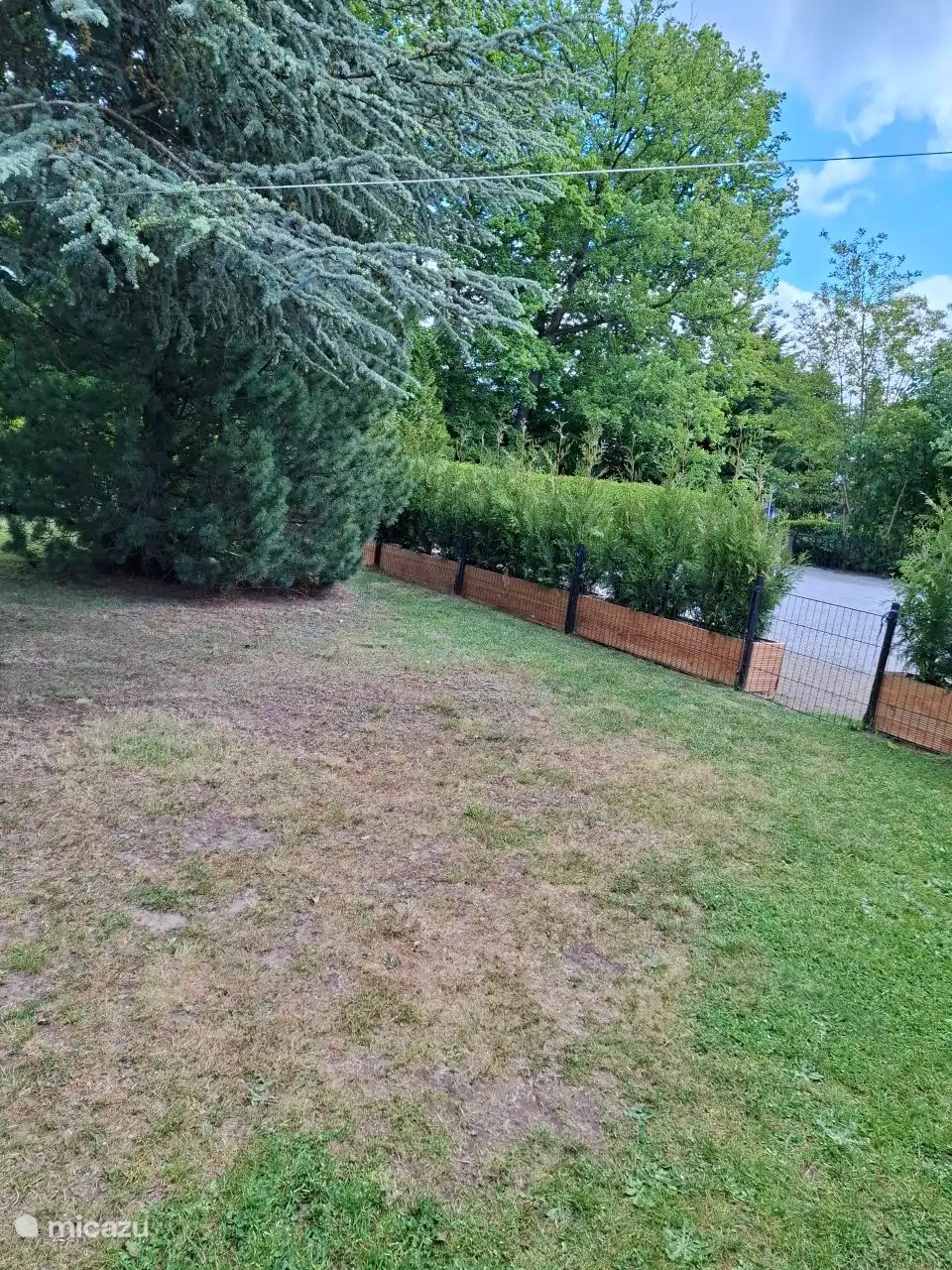 Con&#237;feras colocadas para mayor privacidad