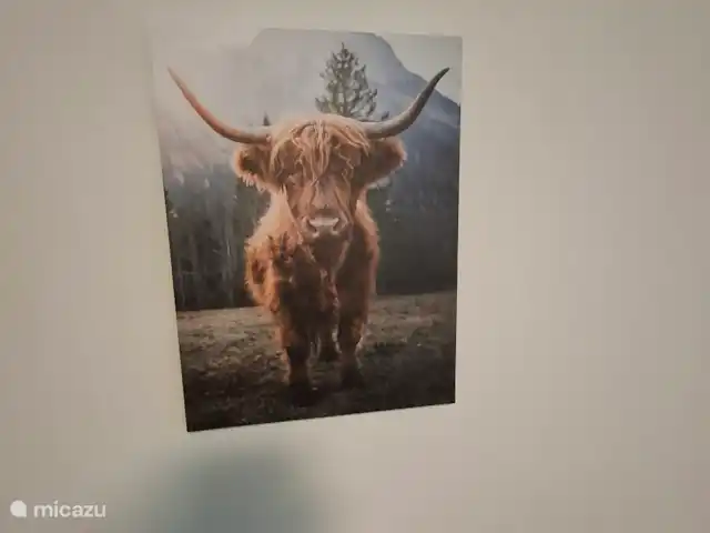 Hochwald-Chalet huren in Duitsland, Nedersaksen, Bad Sachsa - chalet Decoratie