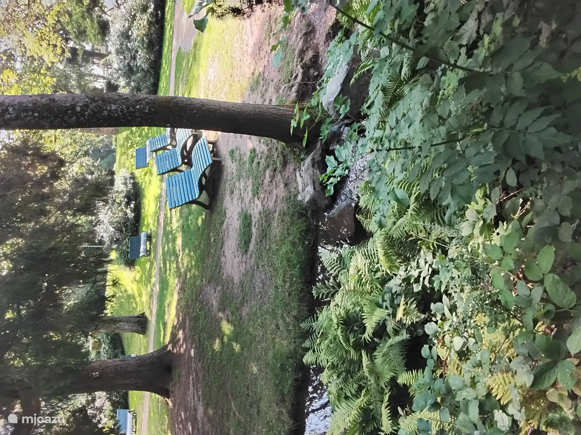 En un hermoso d&#237;a de verano, rel&#225;jese en un hermoso banco en el parque junto a un arroyo