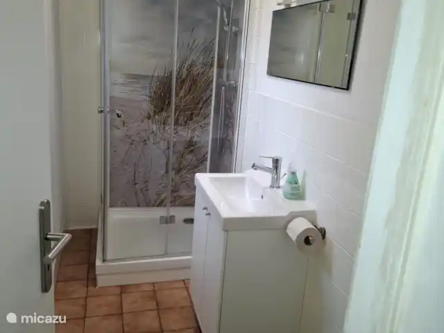 Hochwald-Chalet huren in Duitsland, Nedersaksen, Bad Sachsa - chalet badkamer met douche, wastafel en toilet