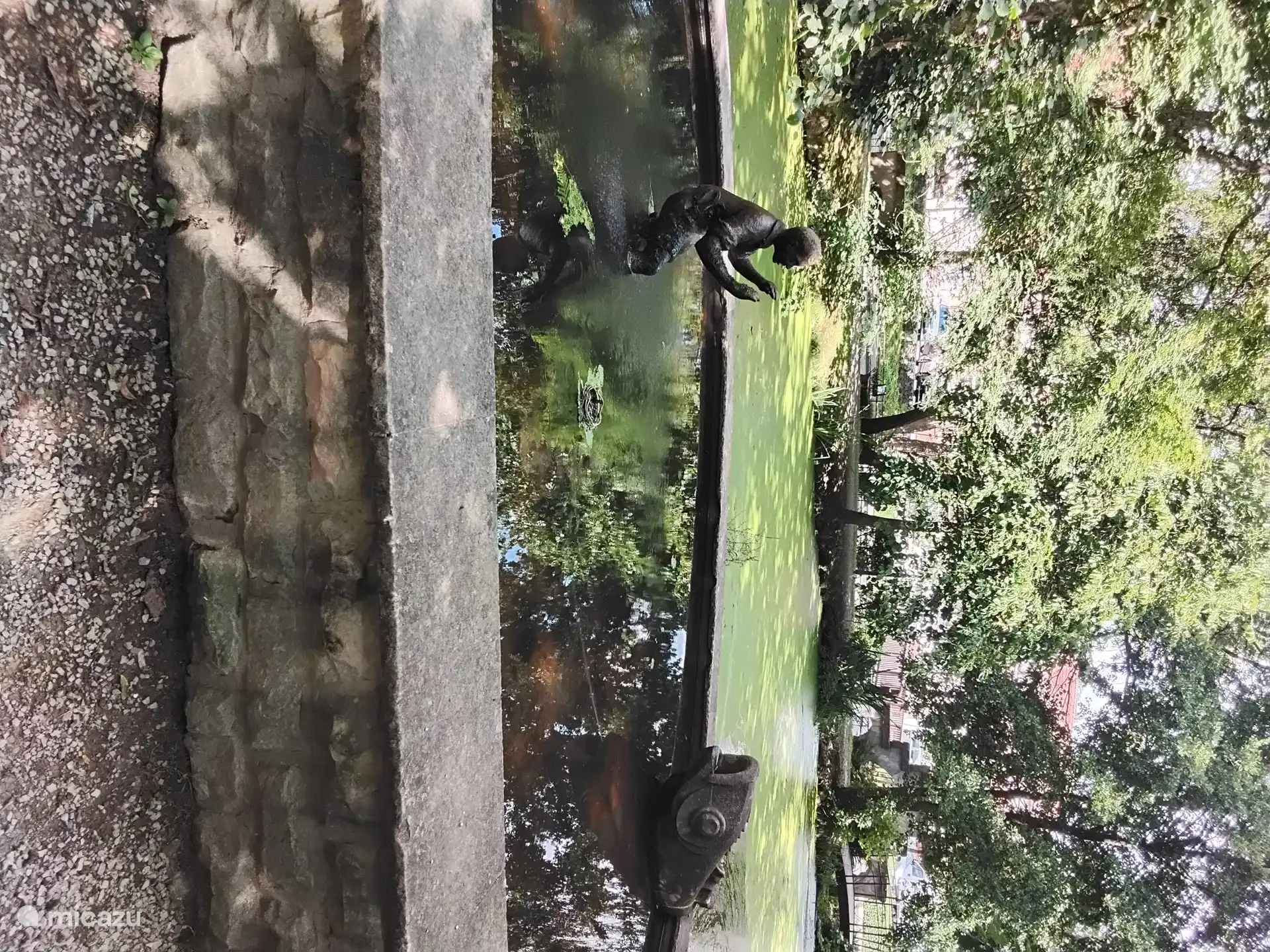 estanque en 1 de los parques de la ciudad de Bad Sachsa