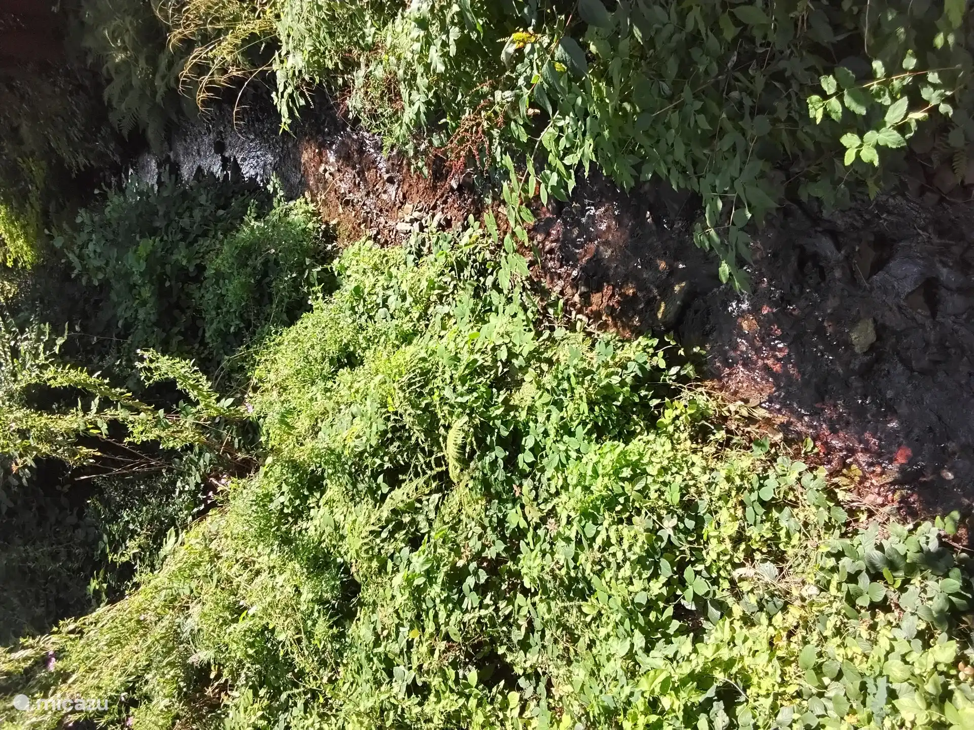 Si caminas por Bad Sachsa te encontrar&#225;s con varios arroyos.