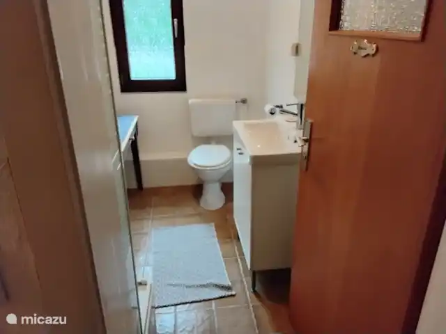 Hochwald Maxi huren in Duitsland, Nedersaksen, Bad Sachsa - appartement Badkamer