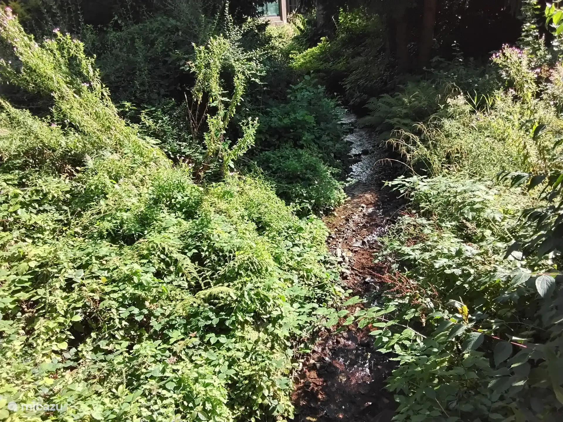 1 der vielen Bäche, denen Sie bei Spaziergängen begegnen werden