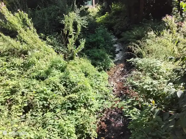 Hochwald Maxi huren in Duitsland, Nedersaksen, Bad Sachsa - appartement 1 van de vele beekjes die je tegenkomt tijdens wandelingen