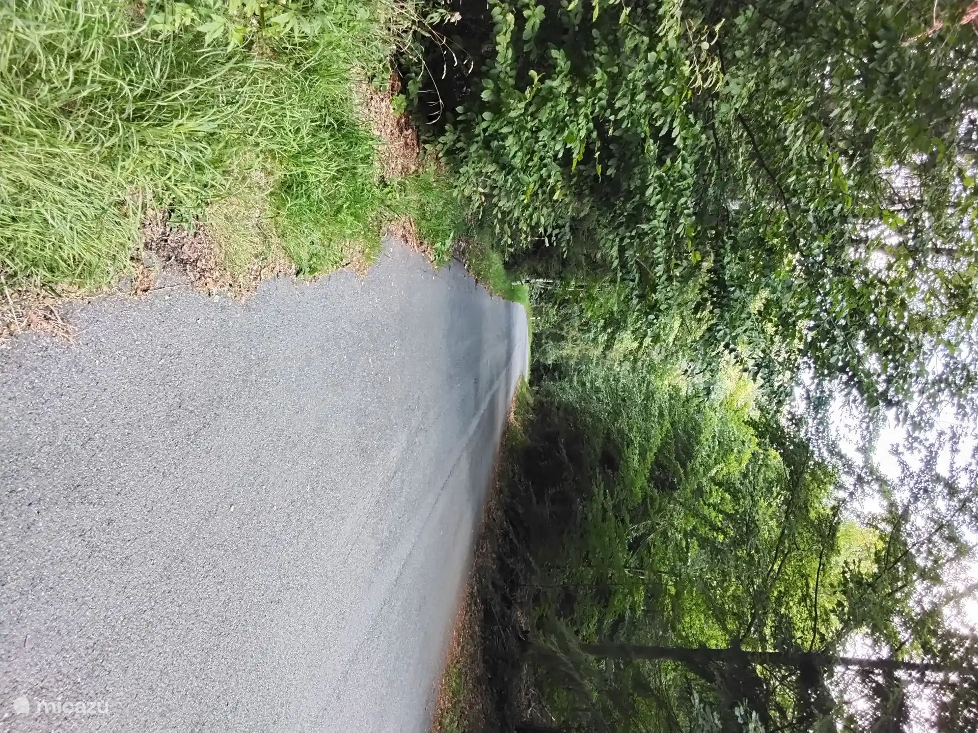 Die Straßen rund um Bad Sachsa verlaufen durch die bewaldeten Berghänge