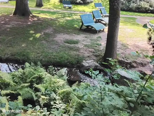 Hochwald Maxi huren in Duitsland, Nedersaksen, Bad Sachsa - appartement Op een zonnige dag kan je in het park heerlijk relaxen.